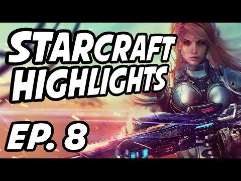 StarCraft Daily Highlights | Ep. 8 | wintergaming, Nathanias, LowkoTV, kogetBW, scorplingg, Avilo