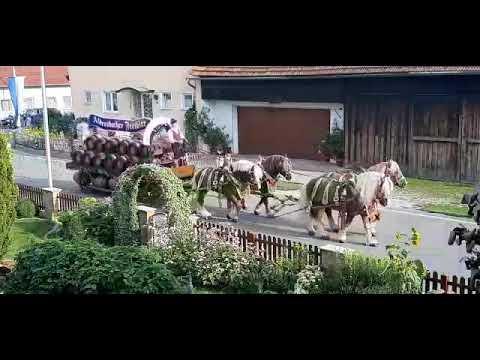 4b444654 5370 4ace a9d0 1bc1616612f8