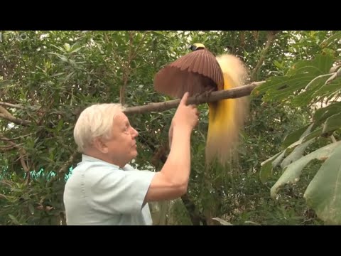 S3RL ft Renee & Slendy - Planet Rave (NON OFFICIAL)