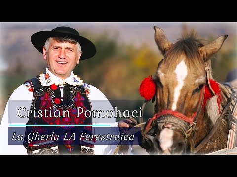 [OFICIAL] Cristian Pomohaci - La Gherla la ferestruică