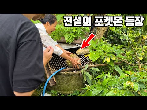 이미지