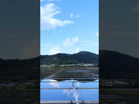 그 여름, 어촌마을