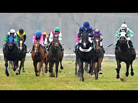 LIVE 🔴 | dostihy Kolesa – neděle 7. 11. 2021