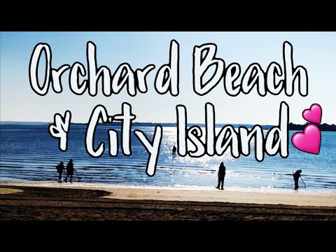 NYC Hidden Gems (Bronx Edition) I Orchard Beach & City Island 2020