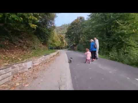 Vožnja Dariva/Sarajevo