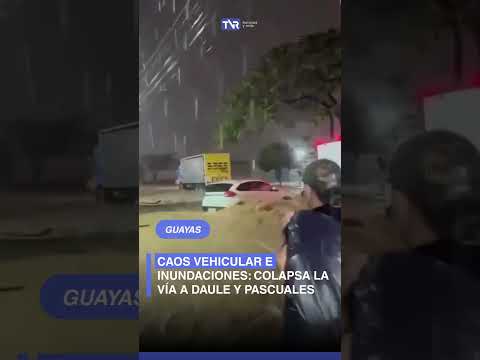 🚨#Guayas: Tránsito colapsado en la vía a Daule por fuertes lluvias e inundaciones.
