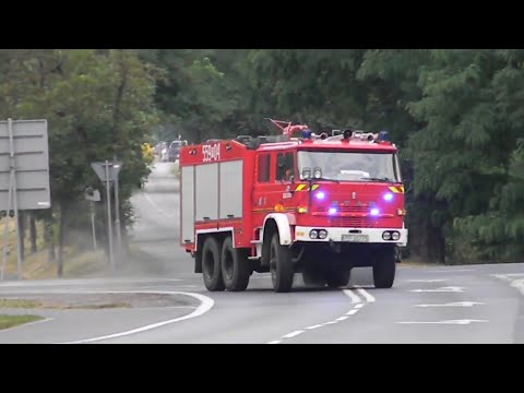 [POŻAR LASU 1,8Ha] [ALARMOWO JEDNOSTKI OSP/PSP][SEKCJA OSP KACZORY,SZYDŁOWO] [TRĄBY][GASZENIE]