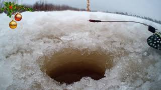 Рыбалка зимой на сухоне