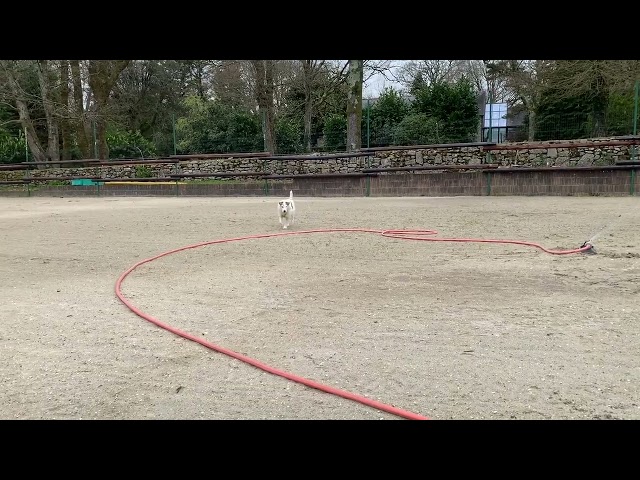 Vacances dans le Morbihan avec votre cheval