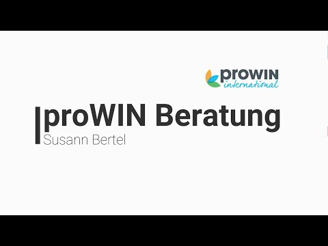 proWIN Window Wonder in Action