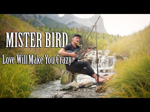 Mister Bird - Love Will Make You Crazy