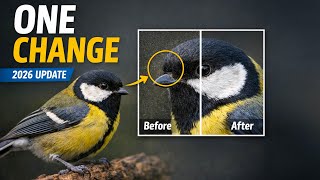 I Changed My Noise Reduction Workflow - Here’s Why
