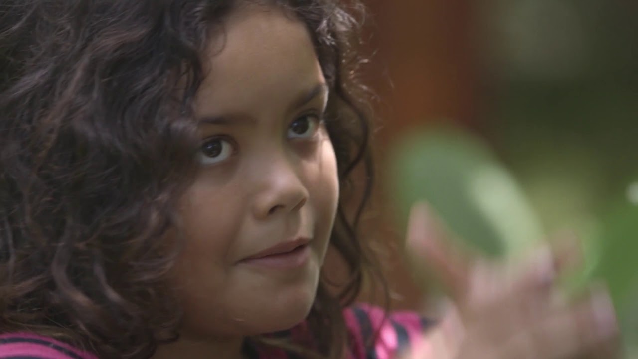 Swarm Season (Trailer @ CPH:DOX 2019)