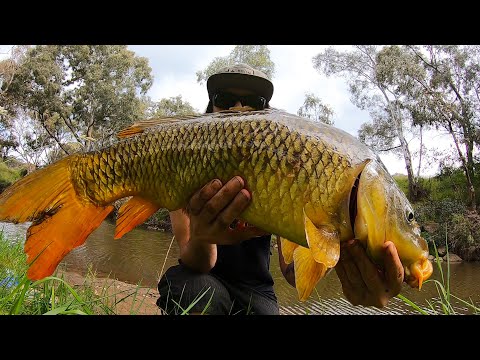 UNBELIEVABLE! Giant Carp Fishing The Cheap And Easy Way | CATCHING RIVER MONSTERS!