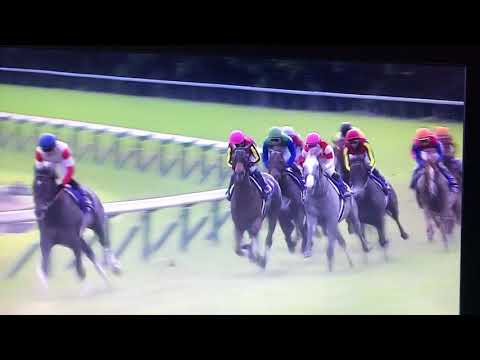 2013　宝塚記念　ゴールドシップ