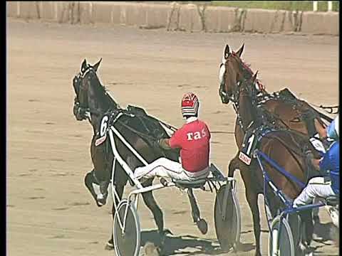 Trotto 17/09/2017 - 2ª corsa