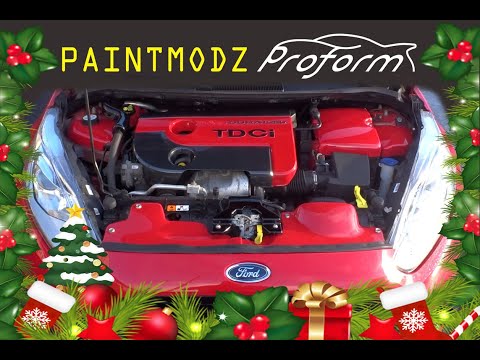 Paintmodz dress up kit Fiesta Tdci/St