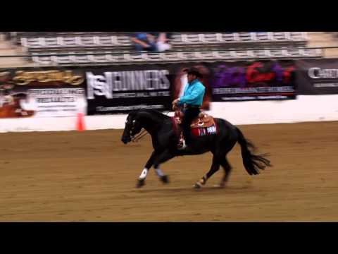Nics Little Bud ridden by Andrea Fappani - 2015 NRBC (Open Challenge)