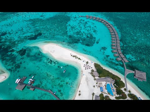 Videos del Cocoon Maldives 5★ en Atolón Lhaviyani, Maldivas
Ver Más
Ver
Precios
17
Cerrar
Consulta por Whatsapp 🇦🇷
Booking
Tripadvisor
Expedia
Agoda
Travelocity
Orbitz
Priceline
Trip
Skyscanner
Despegar
Kayak
Hoteles
Destinia
Trivago
Lastminute
Tui
Wotif