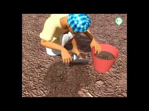 Sampling techniques for soil testing