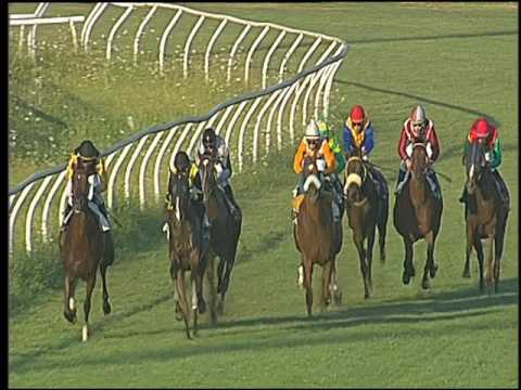 Galoppo 10/08/2016 - 2° corsa