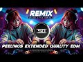 PEELINGS REMIX EXTENDED QUALITY DANCE MIX PUSHPA 2 MOVIE HIT SONG DJ SIDAY REMIX 2025 NEW