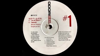 Spirit Guide - Are You Feelin' It? (1998)