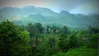 preview picture of video 'Rainforest Edge Srilanka by Travele.co'