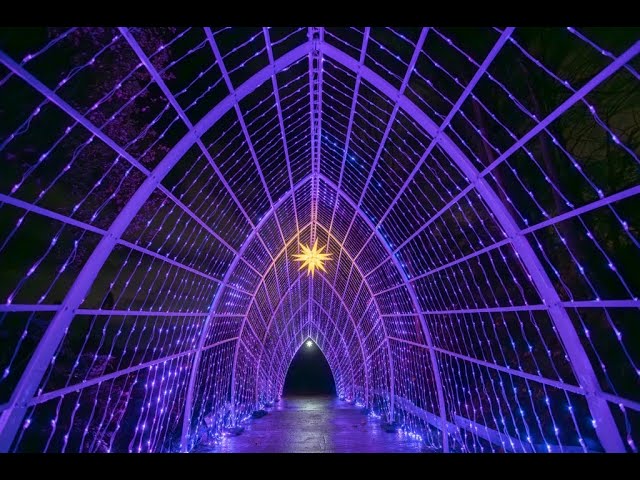 Reise-Video