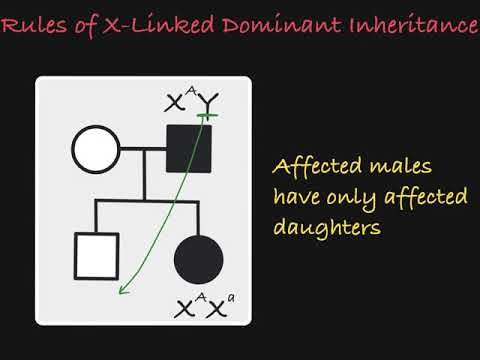 X Linked Dominant Traits in a Pedigree