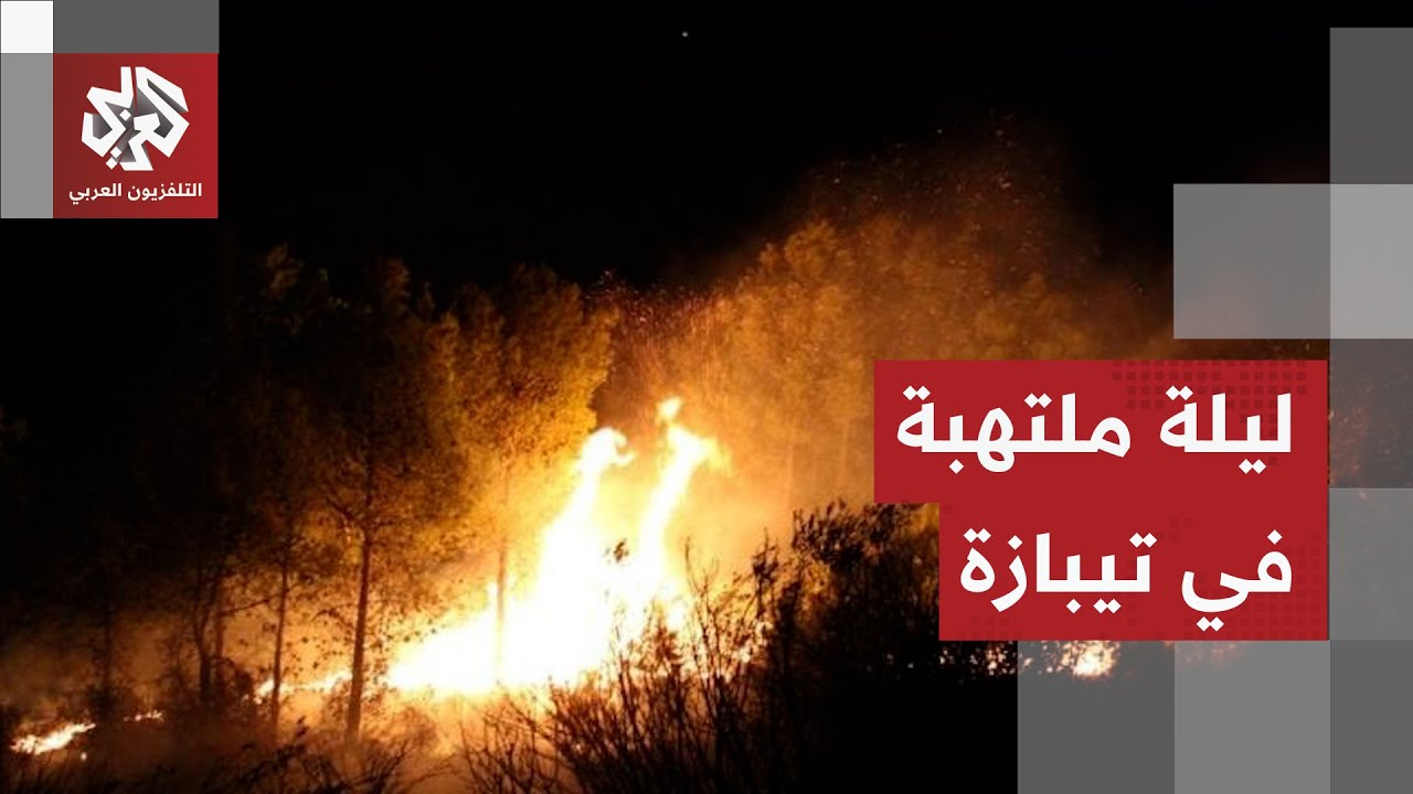 حرائق ضخمة في ولاية تيبازة والجيش الجزائري يتدخل للمساهمة في إخماد النيران