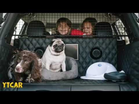 2017 Nissan X-Trail 4Dogs concept - Ytcar