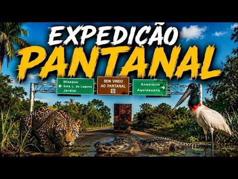 DE CAMPO GRANDE A MIRANDA-MS | DESBRAVANDO O PANTANAL 🐆🌿 | UMA VIAGEM PELO CORAÇÃO DO MS