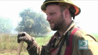 preview picture of video 'Fire Helps Prairies Thrive'