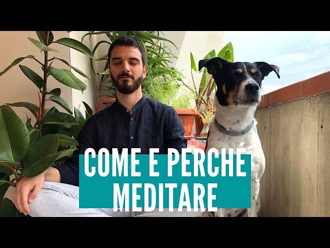 Meditazione e Mindfulness: come e perché meditare?