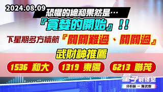 【量子戰情室】#陳武傑0809 恐懼的總和果然是…『貪婪的開始』!!下星期多方續航『關關難過、關關過』…武財神推薦【1536和大】【1319東陽】【6213聯茂】 (圖)