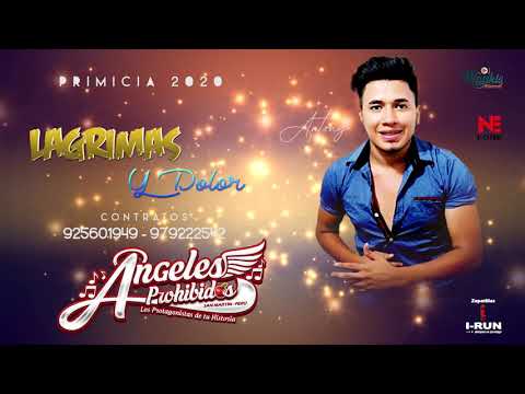 LAGRIMAS Y DOLOR - ÁNGELES PROHIBIDOS (PRIMICIA 2020)