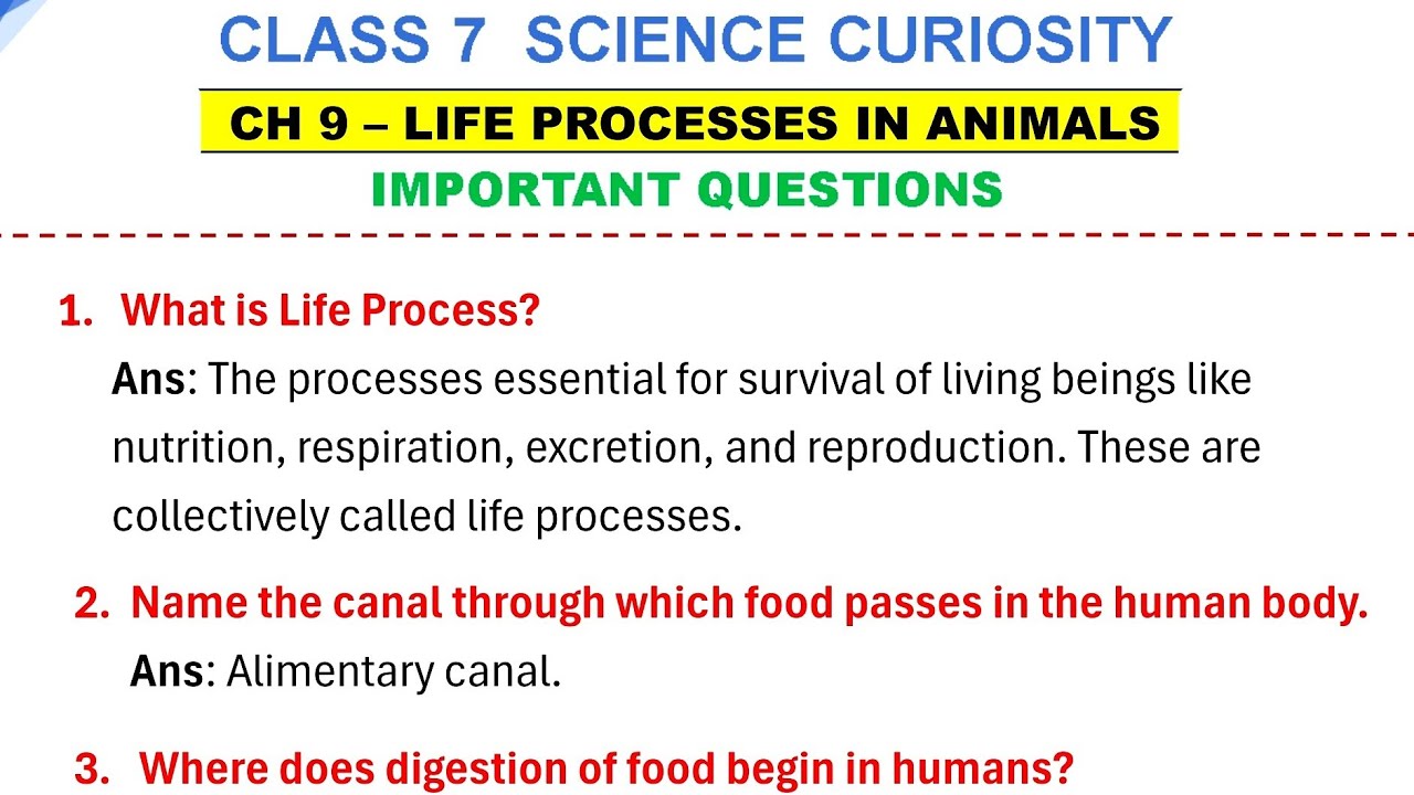 Life processes in animals Class 7 | Science class 7 Curiosity Chapter 9 Important Question Answers