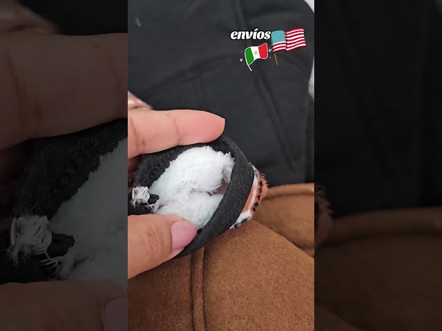Vídeo relacionado con vidaXL Chaqueta Capucha Infantil Ropa Niños Pelo Sintético Borreguito Verde Menta 104