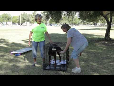 Size of a Dog Cage for a Doberman : Dog Training & Care