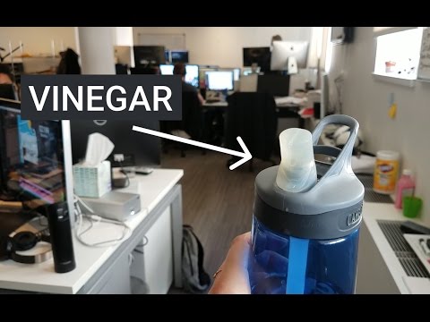 download lagu mp3 mp4 Pink Mold In Water Bottle, download lagu Pink Mold In Water Bottle gratis, unduh video klip Pink Mold In Water Bottle