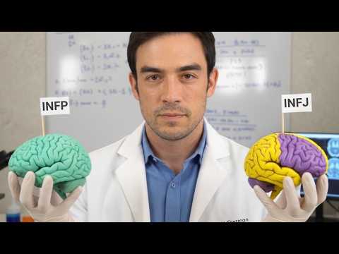 Brain Scans Reveal INFP vs INFJ Differences (with Dr Dario Nardi)