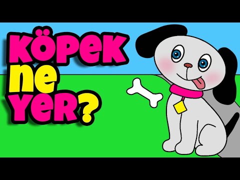 KÖPEK NE YER HAM HAM | Eğitici ve Eğlenceli Bebek ve Çocuk Şarkısı | Hayvan Şarkıları | Çizgi film