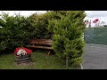 video a-rT19ME3rc
