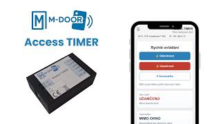 Access TIMER