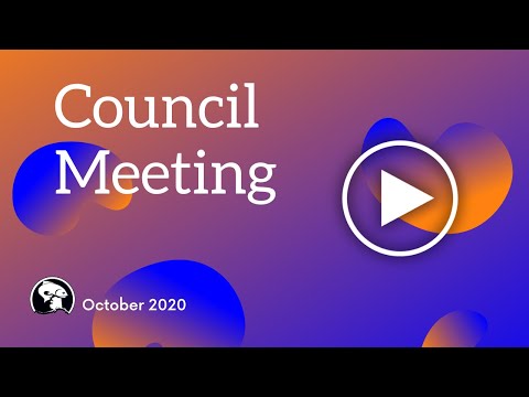 NPFMC 251st Meeting Day 1 - October 9, 2020