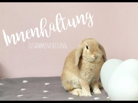 , title : 'Innenhaltung- Kaninchen in der Wohnung halten?'