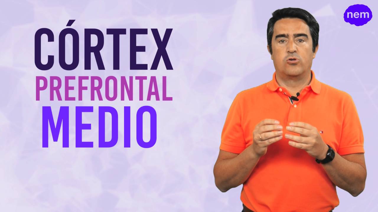 Neuroeconomía y teoría de juegos. Introducción (URJCx)