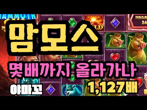[슬롯][제보영상][닉네임:야마꼬] 맘모스 1127배