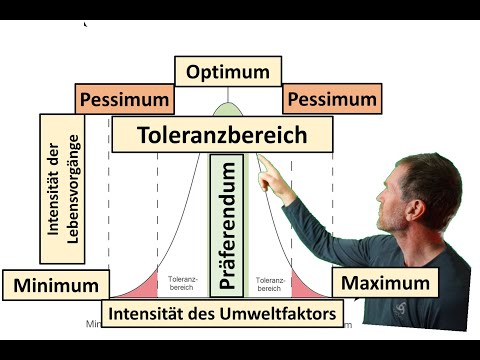 toleranz